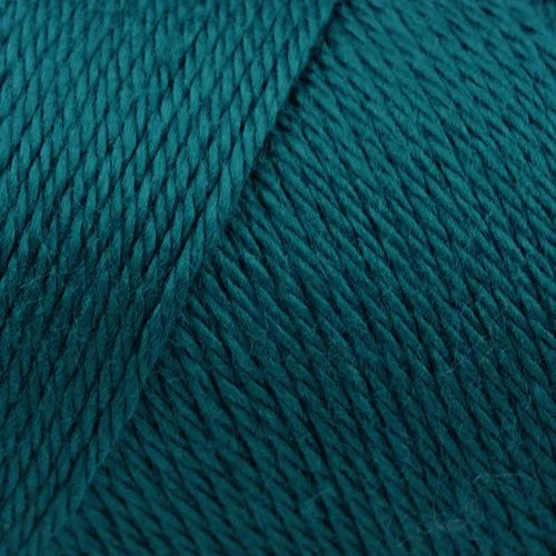 Caron Simply Soft Yarn